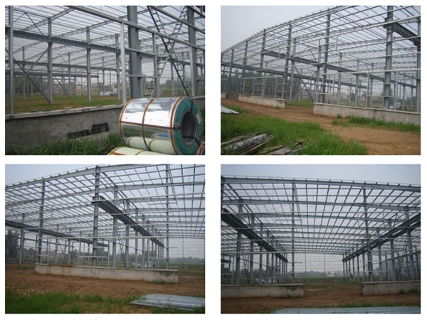 鋼結(jié)構(gòu)